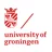 University of Groningen Logo