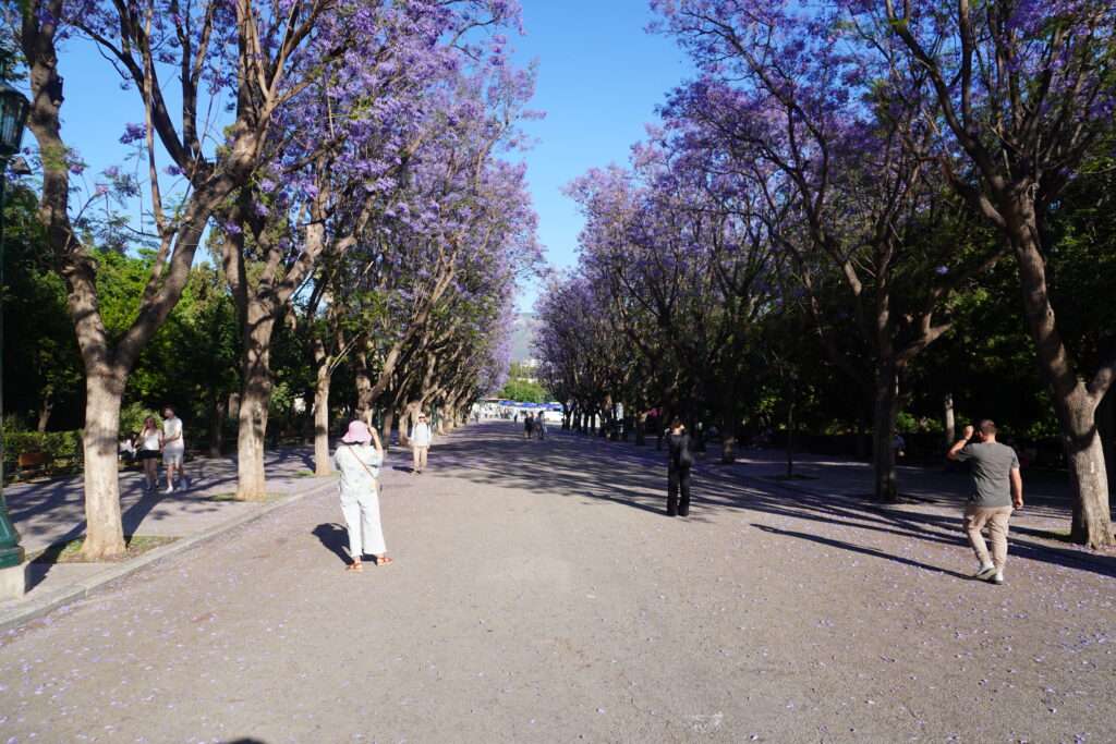 Walking through the National Garden